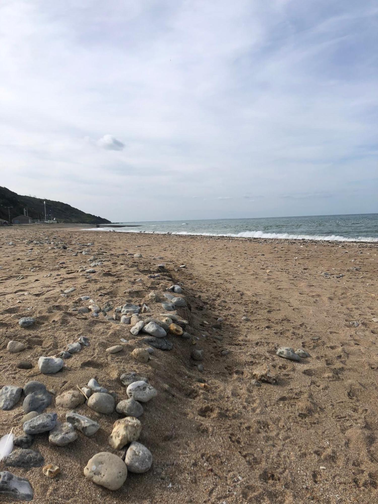 L'Epicentre Leilighet Villers-sur-Mer Eksteriør bilde